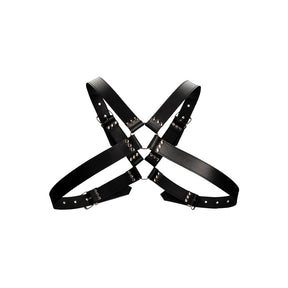 Leather Harness with Large Buckle One Size